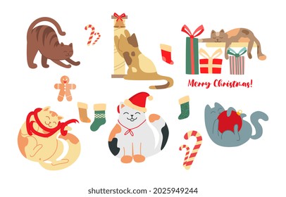 Collection of Christmas cats. Cute sticker with fluffy pet, Christmas gift, sweet and sock. Design element for postcard, poster and social network. Flat vector collection isolated on white background