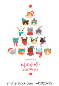 Collection of Christmas cats, Merry Christmas illustrations of cute cats with accessories like a knited hats, sweaters, scarfs 