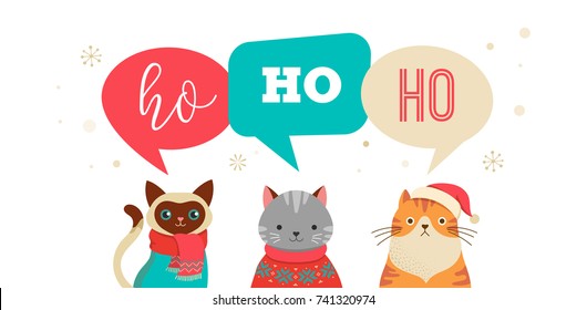 Collection of Christmas cats, Merry Christmas illustrations of cute cats with accessories like a knited hats, sweaters, scarfs 