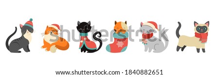 Collection of Christmas cats, Merry Christmas illustrations of cute cats with accessories like a knitted hats, sweaters, scarfs  ストックフォト © 