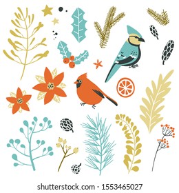 Collection of Christmas decorative elements - plants, branches, birds. Traditional symbols, vector illustration.