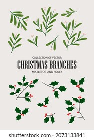 Collection of Christmas design elements: spruce branch, Christmas tree, holly, mistletoe, berry