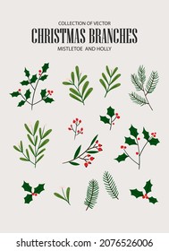 Collection Christmas design elements: spruce branch  Christmas tree  holly  mistletoe  berry