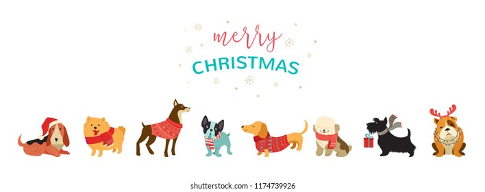 Collection of Christmas dogs, Merry Christmas illustrations of cute pets with accessories like a knited hats, sweaters, scarfs, vector graphic elements