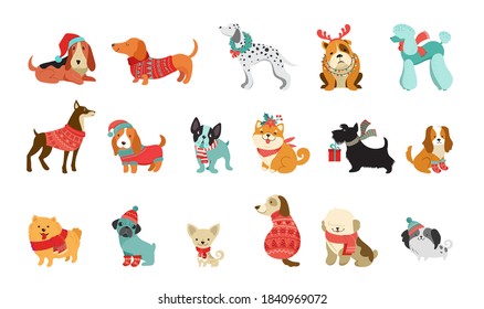 Collection of Christmas dogs, Merry Christmas illustrations of cute pets with accessories like a knitted hats, sweaters, scarfs, vector graphic elements