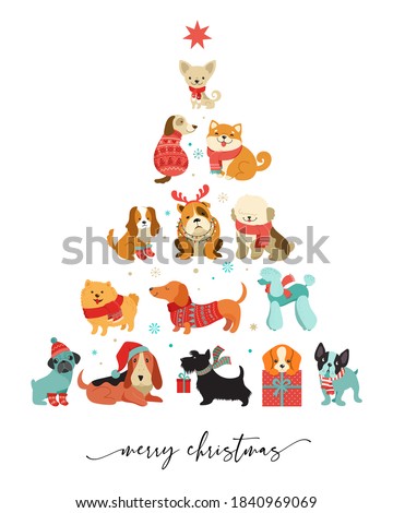 Collection of Christmas dogs, Merry Christmas illustrations of cute pets with accessories like a knitted hats, sweaters, scarfs, vector graphic elements ストックフォト © 