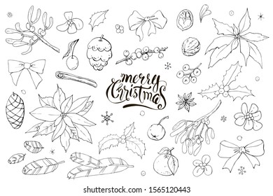 Collection of christmas doodles. Vector set. Can be used for printed materials, prints, posters, cards, logo, coloring book. Holiday background. Hand drawn decorative elements. Holly, poinsettia, bow.