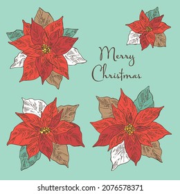 Collection of Christmas and New Year elements with poinsettia flower. Vector hand drawn illustration.