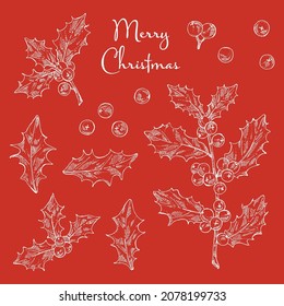 Collection of Christmas and New Year elements with holly branch. Vector hand drawn illustration.