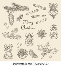 Collection of Christmas and New Year foods and simbols with holly tree branch with cone, holly plant, orange, star anise, cinnamon and christmas decoration. Vector hand drawn illustration.