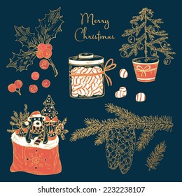 Collection of Christmas and New Year plants and simbols. Holly tree, spruce, spruce cones, sweets, presents, toys, a bag with presents, Christmas tree and holly branch. Vector hand drawn
