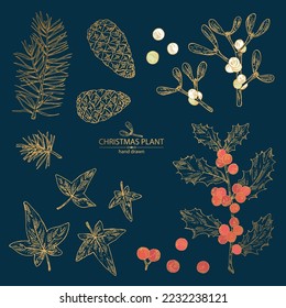 Collection of Christmas and New Year Christmas plants. Holly tree, pine cones, mistletoe branch, hedera and holly branch. Vector hand drawn illustration.