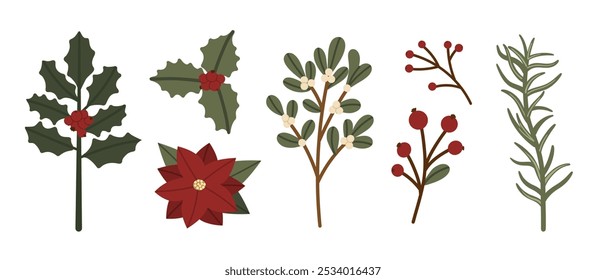 Collection of Christmas plants. Botanical holly, poinsettia, mistletoe, berries, and evergreen sprigs. Natural eco decoration. Hand drawn floral blooms, leaves. Vector isolated