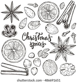 Collection of Christmas spices and citrus fruit. Black and white hand drawn graphic sketch vector illustration.