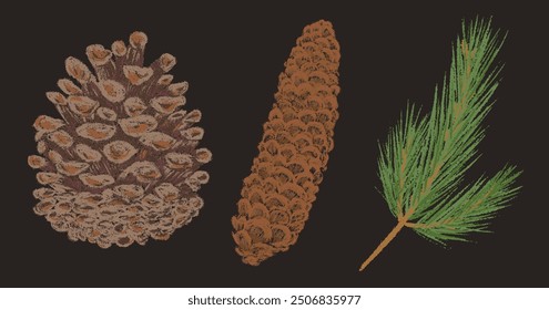 Collection Christmas Tree branch and cone. New year chalk pencil texture branches set. Pine, Xmas fir tree spruce cone decoration crayon hand drawn graphic elements. Cartoon doodle vector illustration