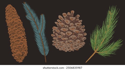 Collection Christmas Tree branch and cone. New year chalk pencil texture branches set. Pine, Xmas fir tree spruce cone decoration crayon hand drawn graphic elements. Cartoon doodle vector illustration