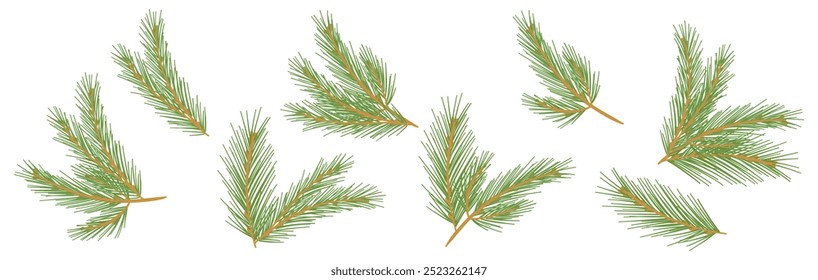 Collection Christmas Tree Branch. New year green doodle flat simple branches set. Pine, fir tree Xmas spruce decoration hand drawn graphic elements. Cartoon vector illustration