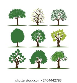 Collection of Christmas trees. Colorful vector illustration. 