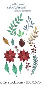 collection of christmas watercolour flowers and branches