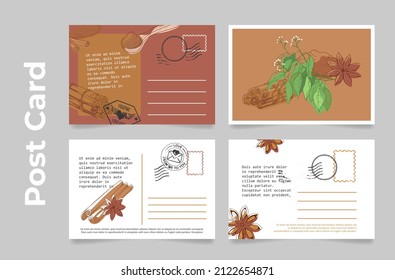 Collection cinnamon design postcard vector illustration. Set decorative greeting postal message delivery address and seal for remotely communication with aromatic spices seasoning condiment