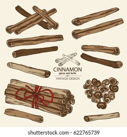 Collection of cinnamon. hand drawn