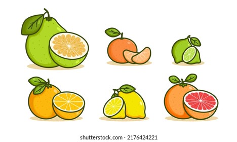 Collection of citrus fruits vector illustration. Set of pomelo, orange, lemon, tangerine, grapefruit and lime. Cartoon citruses with leaf and a half slice, outline color icon of tropical fruit