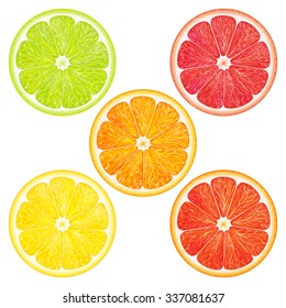 Collection citrus: grapefruit, orange, tangerine, lemon, lime on white background. Vector illustration for decorative poster, packaging design of cosmetics and food.