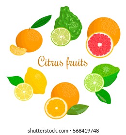 Collection of citrus products - orange, lemon, lime, bergamot, tangerine, grapefruit with leaves. Vector set of whole fruits and slices. for design, poster, tag, prints, textile, perfume, aromatherapy