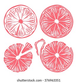 Collection of citrus slices