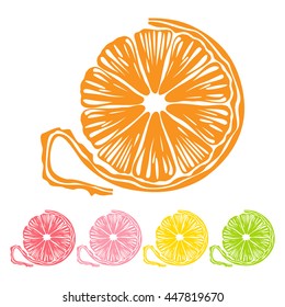 Collection of citrus slices - orange, grapefruit, lime and lemon, vector, icon