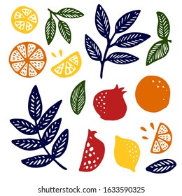 Collection of citrus slices - orange, lemon, leaves, icons set, colorful isolated on white background, vector illustration. Hand drawn shapes.