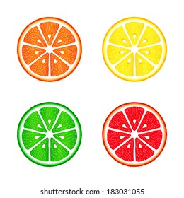 Collection of citrus slices - orange, lemon, lime and grapefruit. Isolated on white background, vector illustration.