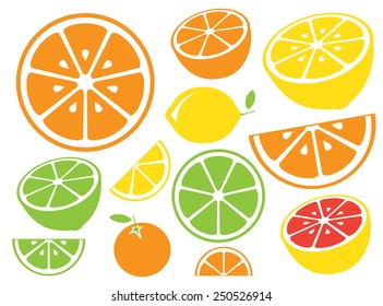 Collection of citrus slices - orange, lemon, lime and grapefruit, icons set, colorful isolated on white background, vector illustration.