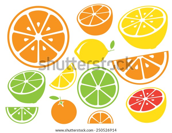 オレンジ レモン ライム グレープフルーツのコレクション アイコンセット 白い背景にカラフル ベクターイラスト のベクター画像素材 ロイヤリティフリー