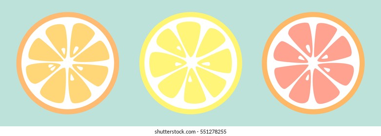 Collection of citrus slices. Vector.