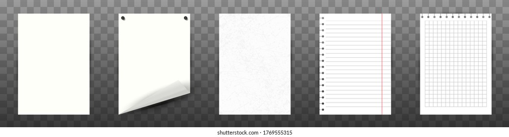 A collection of clean and lined paper sheets. Vector illustration. Torn notebook pages.