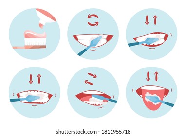 341 Toothbrushing steps Images, Stock Photos & Vectors | Shutterstock