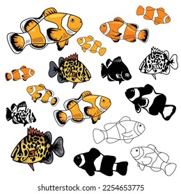 collection clown fish and scat fish vector set isolated on white background. fish, clown, scat, nemo, coral, reef, tropical, aquarium, pet, seafood, flat, orange, white, black, vector illustration.