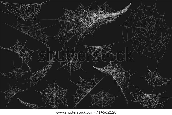 Collection Cobweb Isolated On Black Transparent Stock Vector (Royalty ...