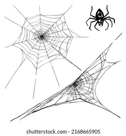 Collection of cobweb and spider isolated on white background. Spiderweb for Halloween design spooky, scary, horror decor. Hand drawn vector illustration.