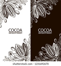recogida de envases de cacao con frijoles, ramas y hojas