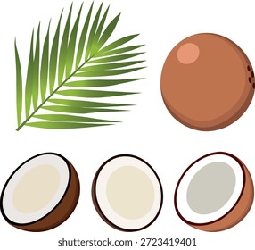 Uma coleção de ilustrações de coco