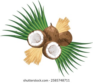 A collection of coconut-themed vector elements, including ripe coconuts, flowers, and leaves. Perfect for tropical branding, packaging, and decor. Editable EPS file for easy customization.