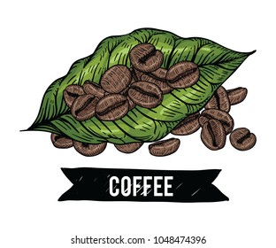 Collection of Coffee beans by Hand drawn with line-art on white backgrounds.