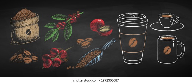 Collection of coffee cups and plants isolated on black chalkboard background. Vector chalk drawn sideview grunge illustrations.