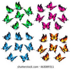 Collection of color butterflies. Vector