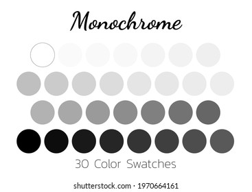 Collection Color palette, Monochrome. Flat vector illustration.
The color gradation from white to black