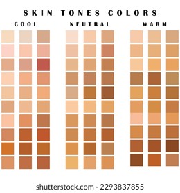 Collection Color palette, Skin tones. Flat vector illustration. skin color infographics. skin tone, vector icon