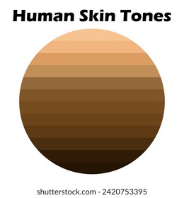 Collection Color palette, Skin tones. Flat vector illustration. skin color infographics. Skin tone, vector icon. Abstract design element. Skin color palette level icon vector design.