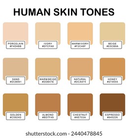 Collection Color palette, Skin tones. Flat vector illustration. skin color infographics. skin tone, vector icon. 